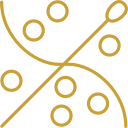 Gold line icon of intersecting curves and cell or molecule circles representing medical science or clinical research